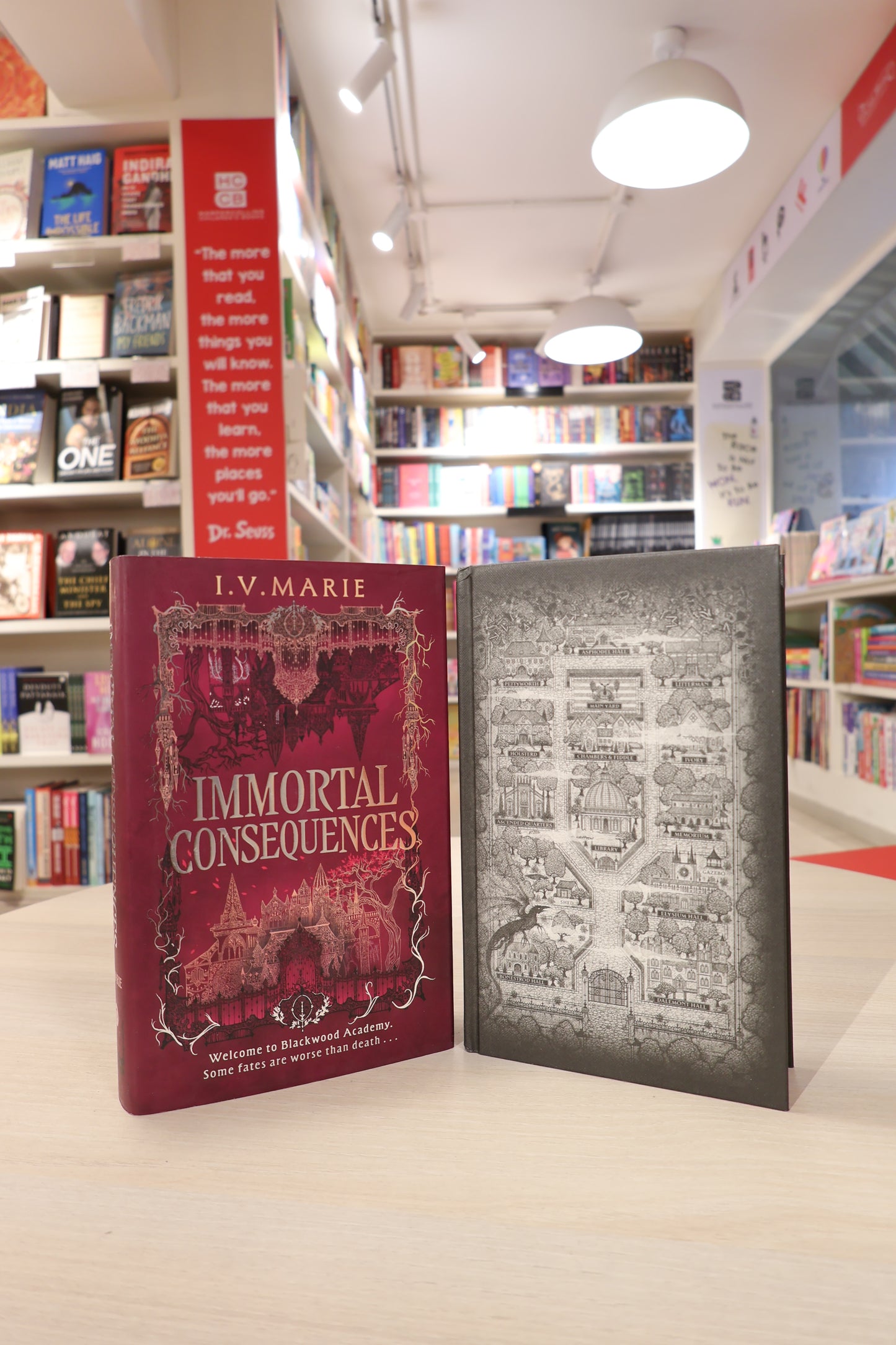 Immortal Consequences by I. V. Marie