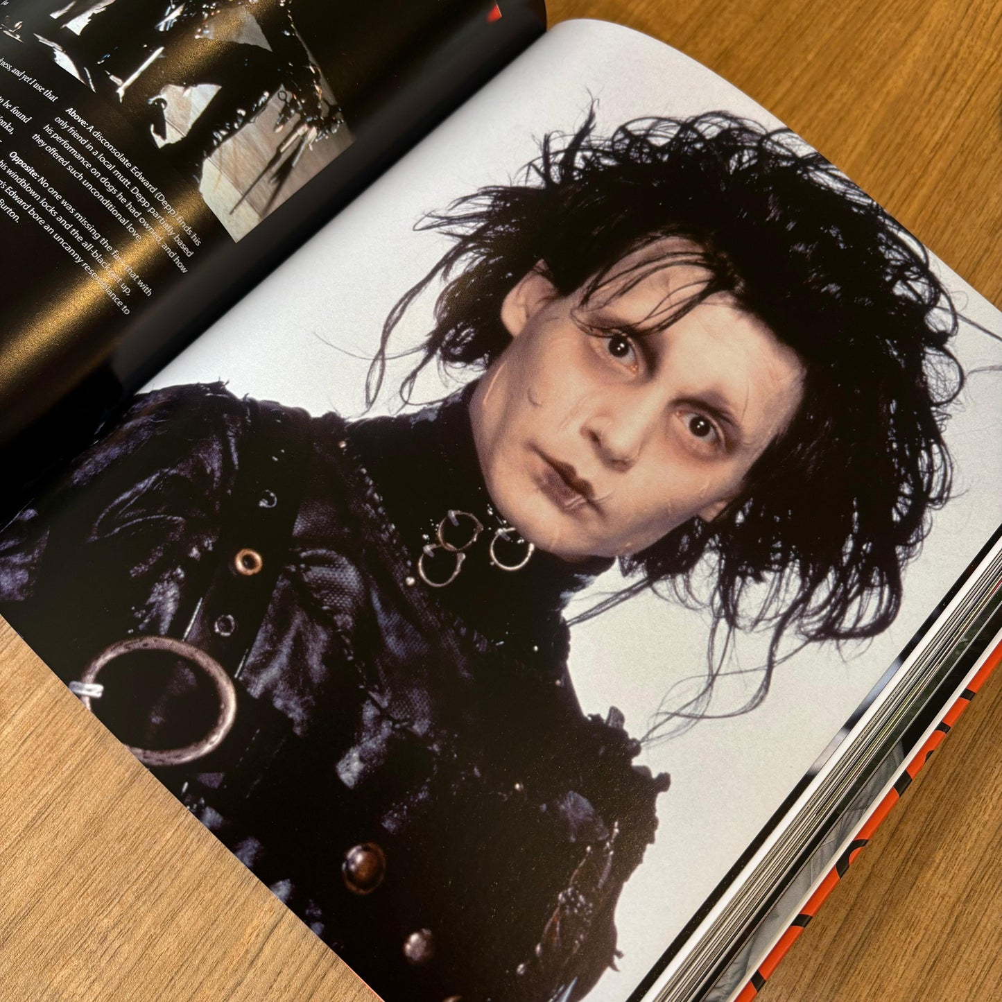 Tim Burton: The Iconic Filmmaker and His Work by Ian Nathan