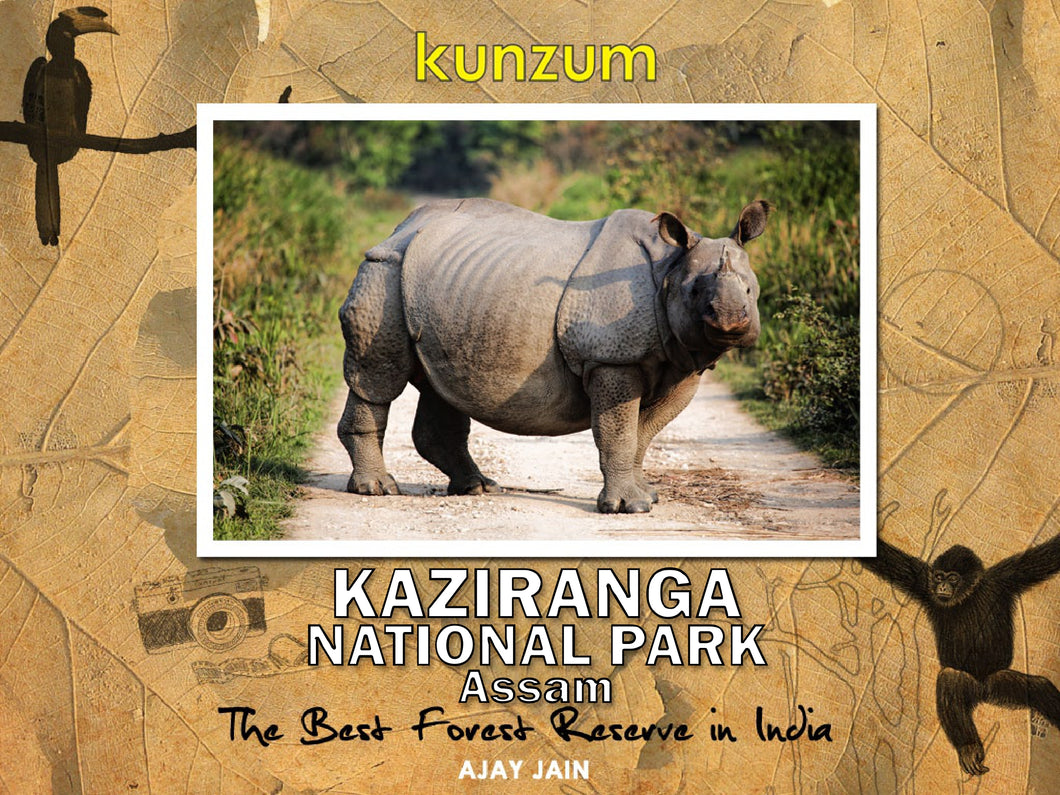 Kaziranga National Park - Assam, India (eBook)