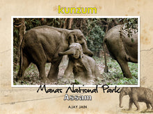 Load image into Gallery viewer, Manas National Park - Assam, India (eBook)
