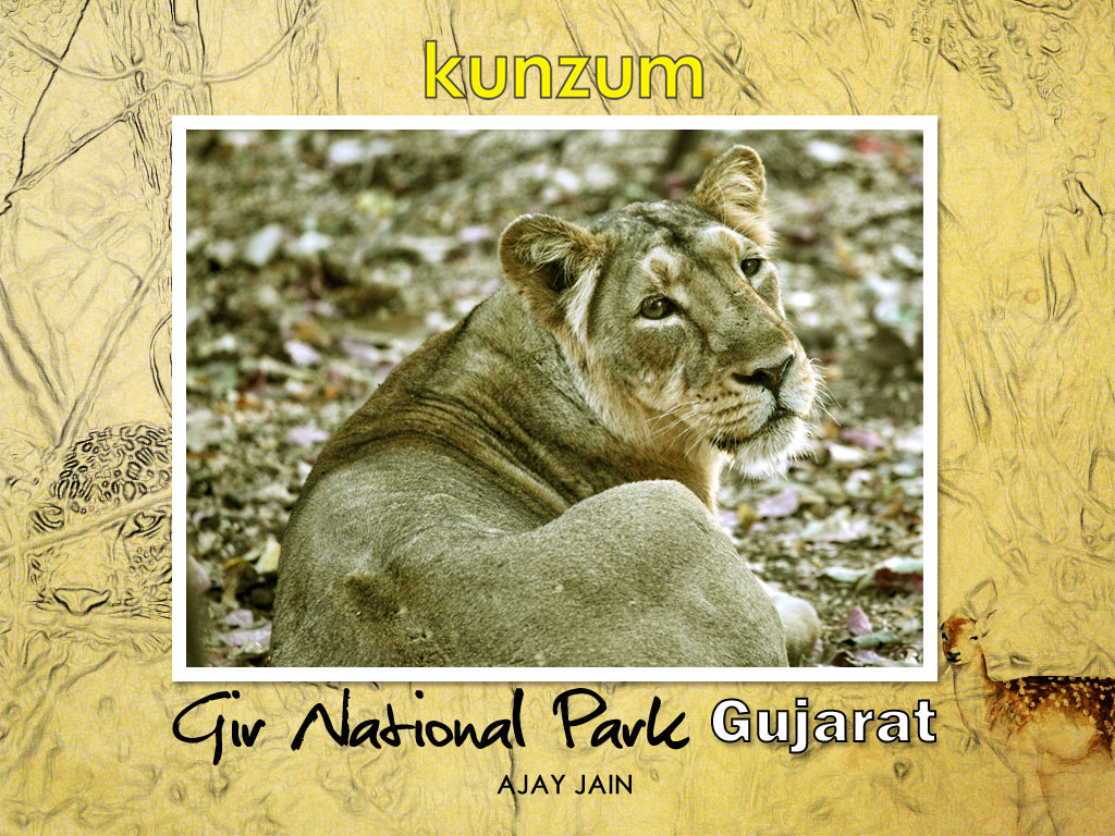 Gir National Park - Gujarat, India (eBook)