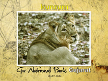 Load image into Gallery viewer, Gir National Park - Gujarat, India (eBook)
