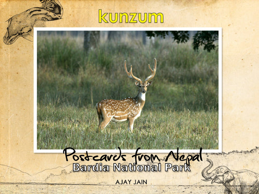 Postcards from Nepal - Bardia National Park (eBook)