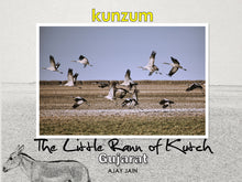 Load image into Gallery viewer, The Little Rann of Kutch – Gujarat (eBook)
