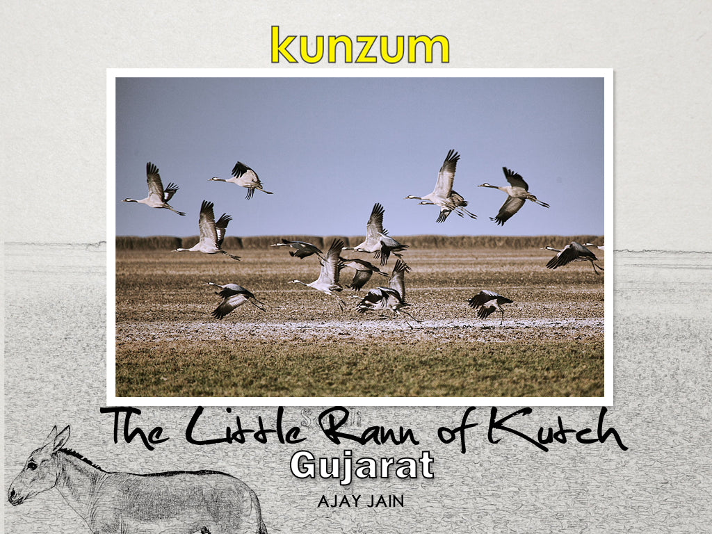 The Little Rann of Kutch – Gujarat (eBook)