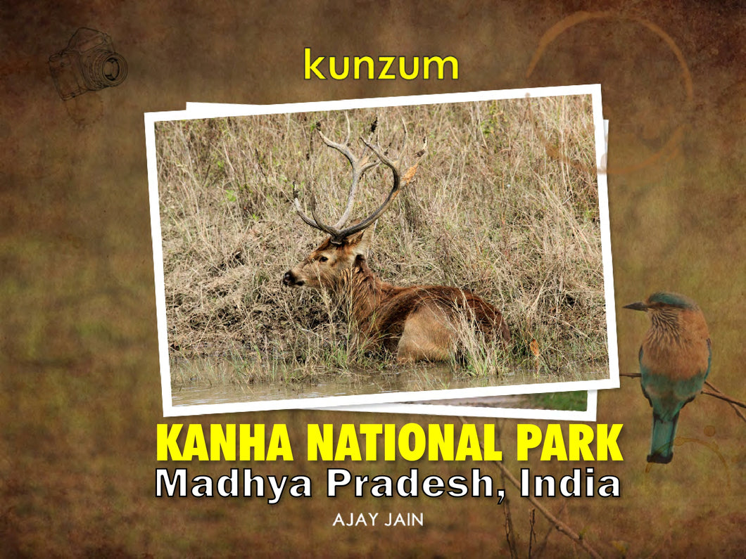 Kanha National Park - Madhya Pradesh (eBook)