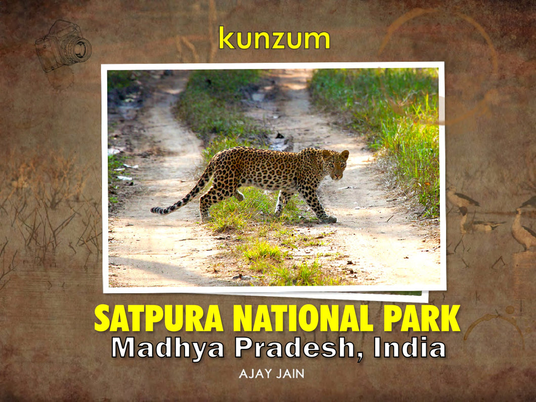 Satpura National Park - Madhya Pradesh (eBook)