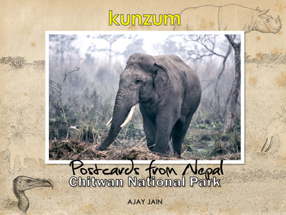 Postcards from Nepal - Chitwan National Park (eBook)