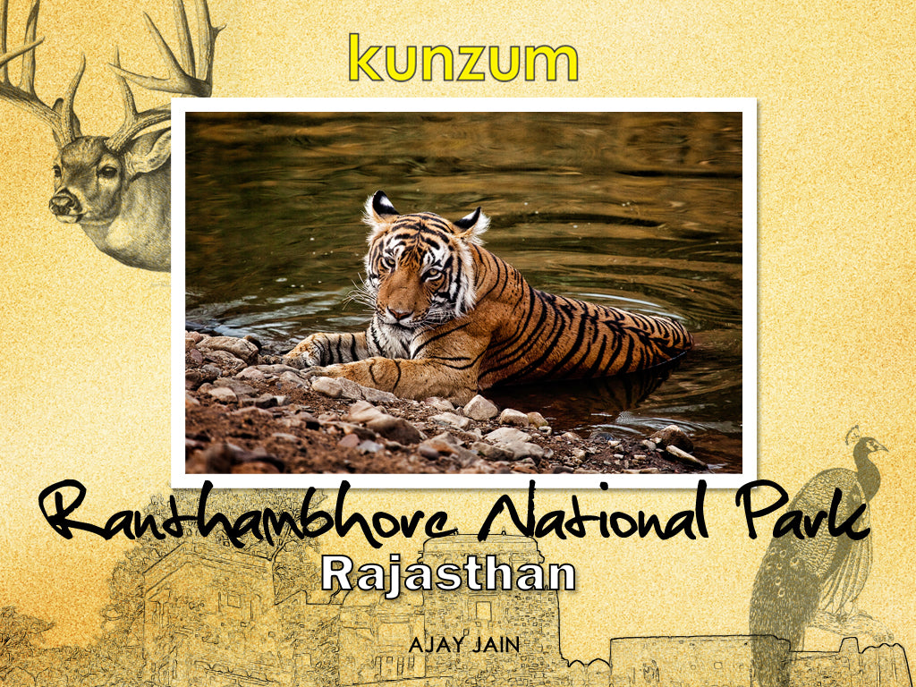 Ranthambhore National Park - Rajasthan (eBook)