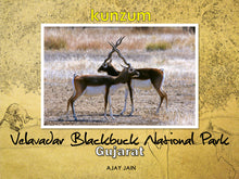 Load image into Gallery viewer, Velavadar Blackbuck National Park – Gujarat (eBook)
